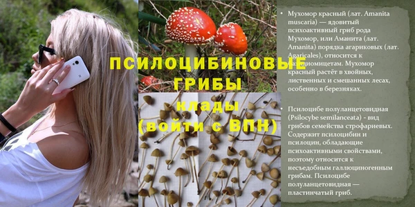 гашиш Баксан