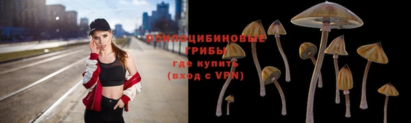 скорость Каменногорск