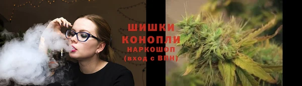 винт Бородино