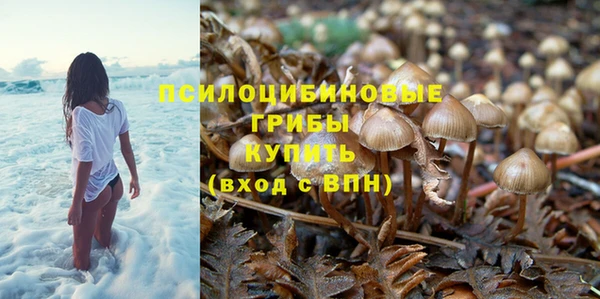 дурь Бугульма