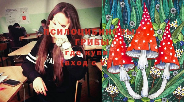 дурь Бугульма