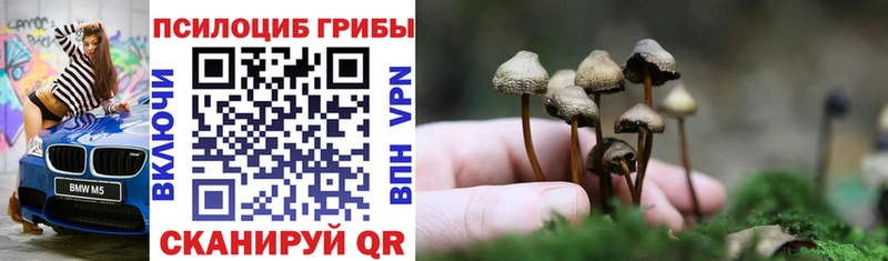 Галлюциногенные грибы Psilocybine cubensis  Радужный 
